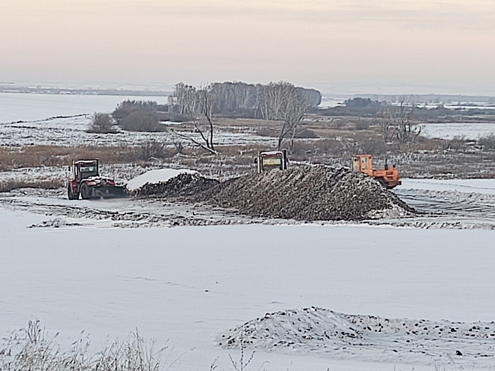 Татлы тамыр заводка озатыла