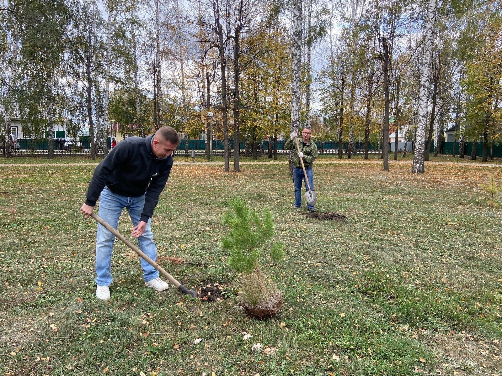 Җиңү паркында яшь агачлар утыртылды