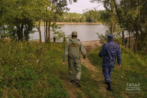 Татарстанда ау сезоны: суда йөзүче кошлар һәм бурсык