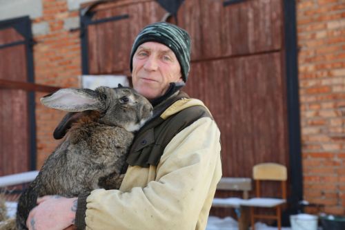 Михайловка мәктәбендә куяннар үстерәләр