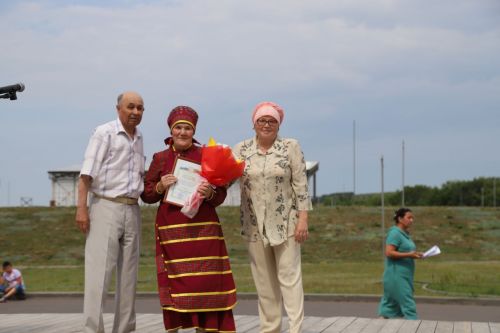 Ветераннар Сабан туе