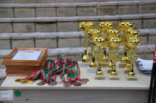 Фәнисә Габделхакова призына чаңгы ярышлары