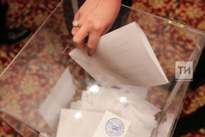 На референдумы по самообложению в Татарстане отправят наблюдателей