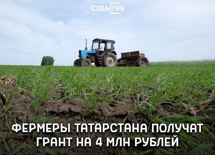 Татарстан фермерлары РФ милли проекты кысаларында 4 млн. сумга кадәр грант ала алачак