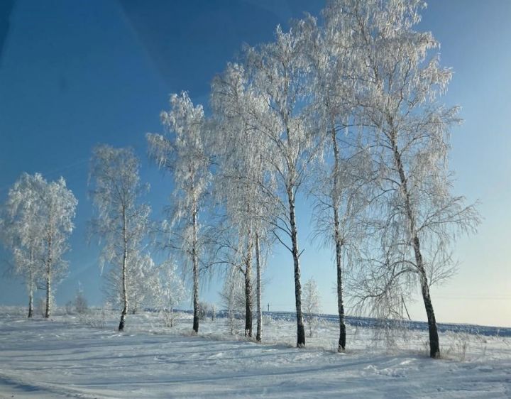 31 гыйнварга һава торышы