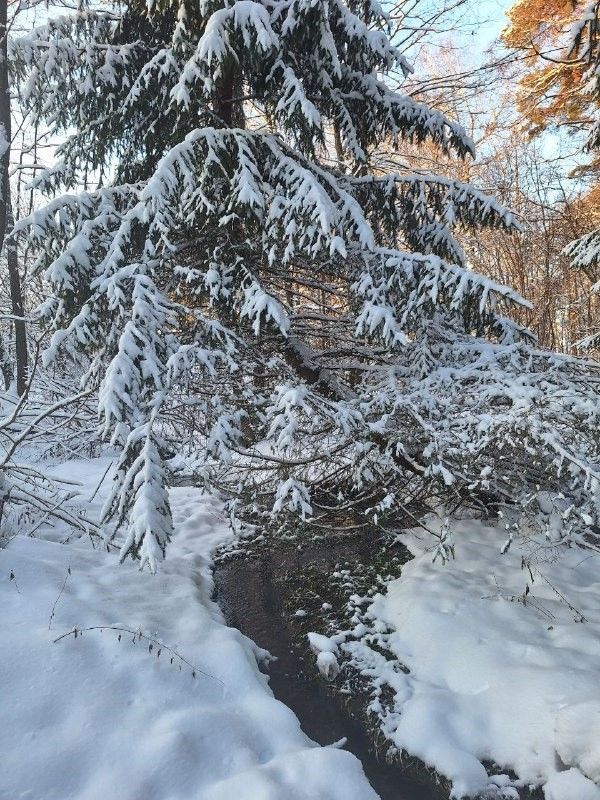 16 декабрьгә һава торышы