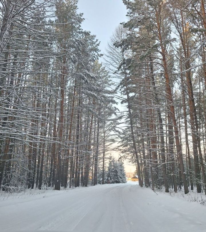 15 декабрьгә һава торышы