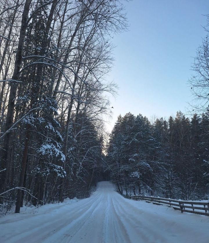 19 декабрьгә һава торышы