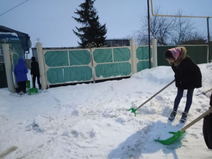 Волонтерлар отряды шефлык итә