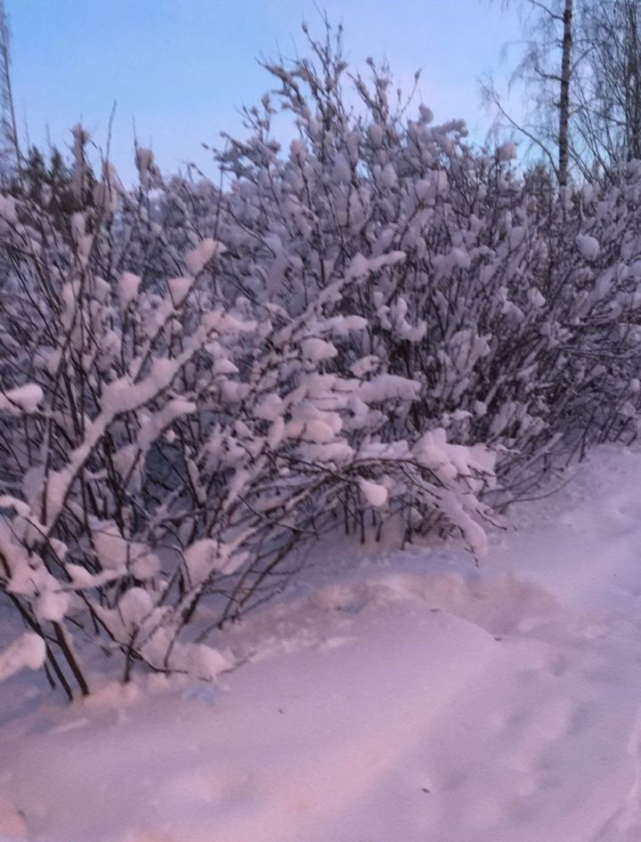 18 гыйнварга һава торышы