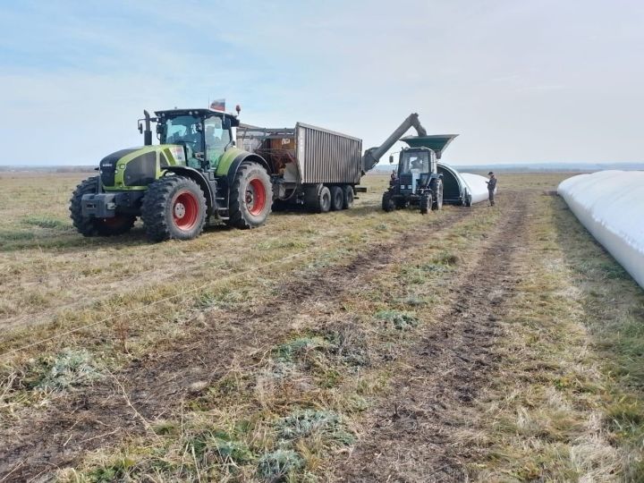 «Август-Мөслим» ашлык кабул итү предприятиесе 95 мең тоннадан артык продукция кабул итте