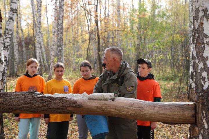 Хайваннар дөньясы – үзәктә