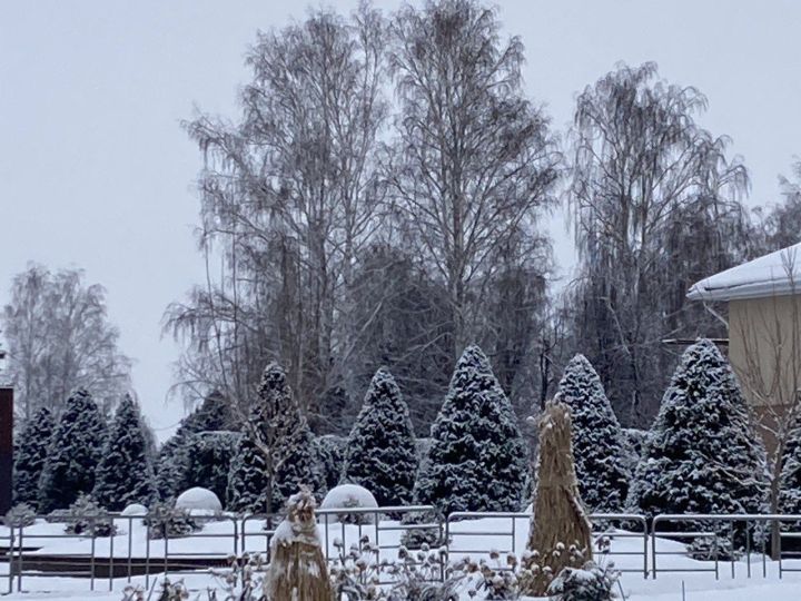 12 февральгә һава торышы