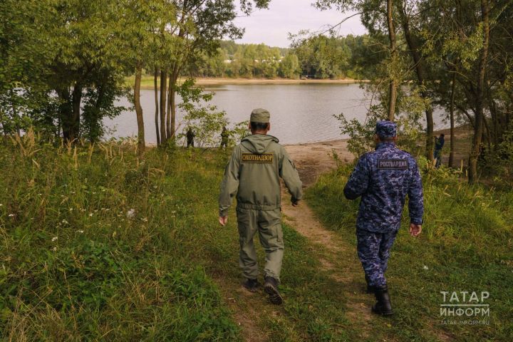 Татарстанда ау сезоны: суда йөзүче кошлар һәм бурсык