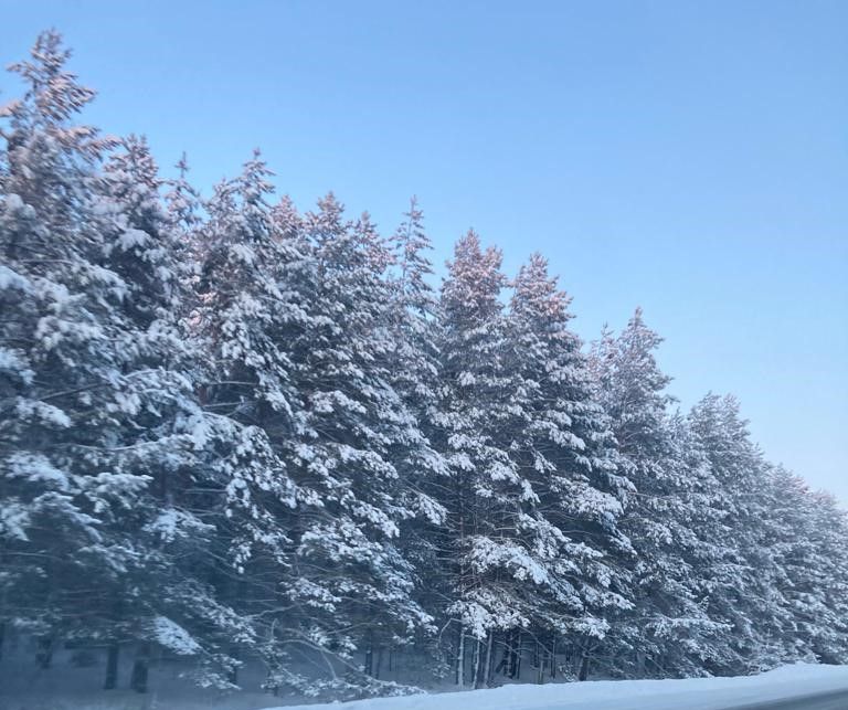 10 гыйнварга һава торышы