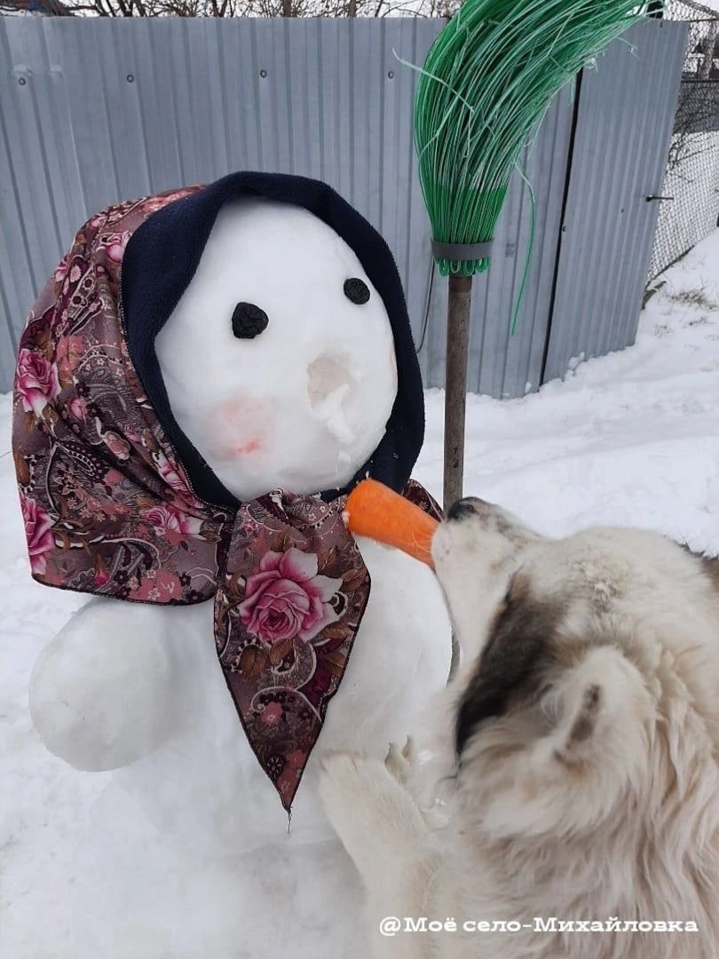 #безнеңкарбабай акциясе