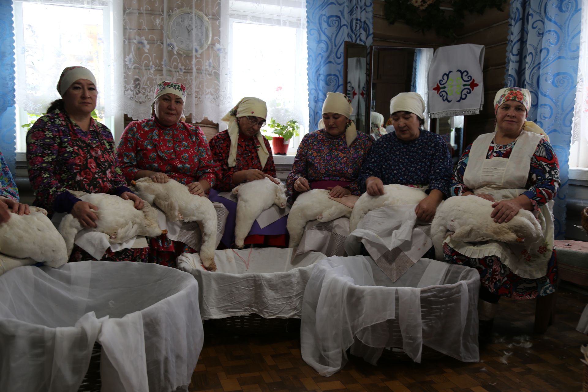 Каз-үрдәк чистарту серләре