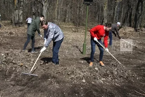 Йорт территориясе җыештырылачак
