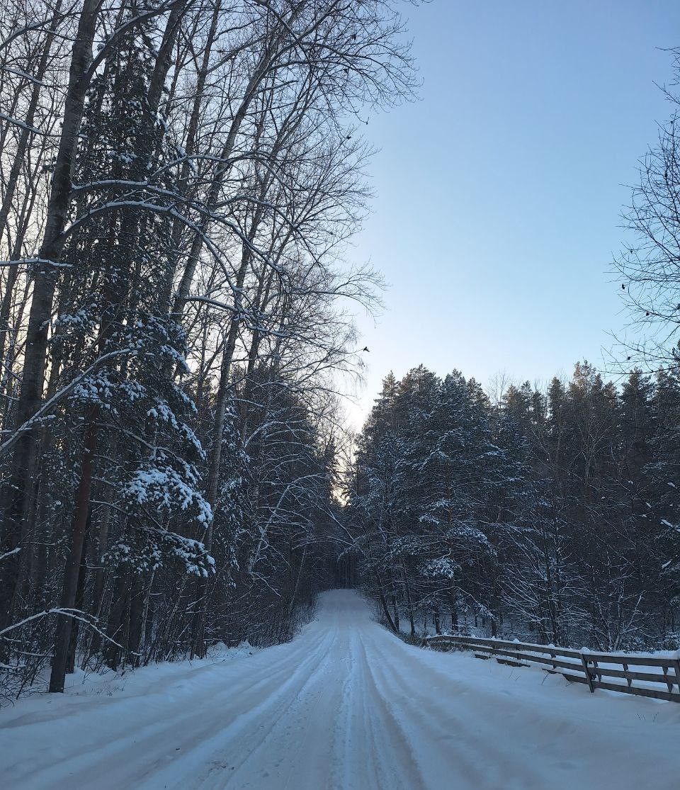 19 декабрьгә һава торышы