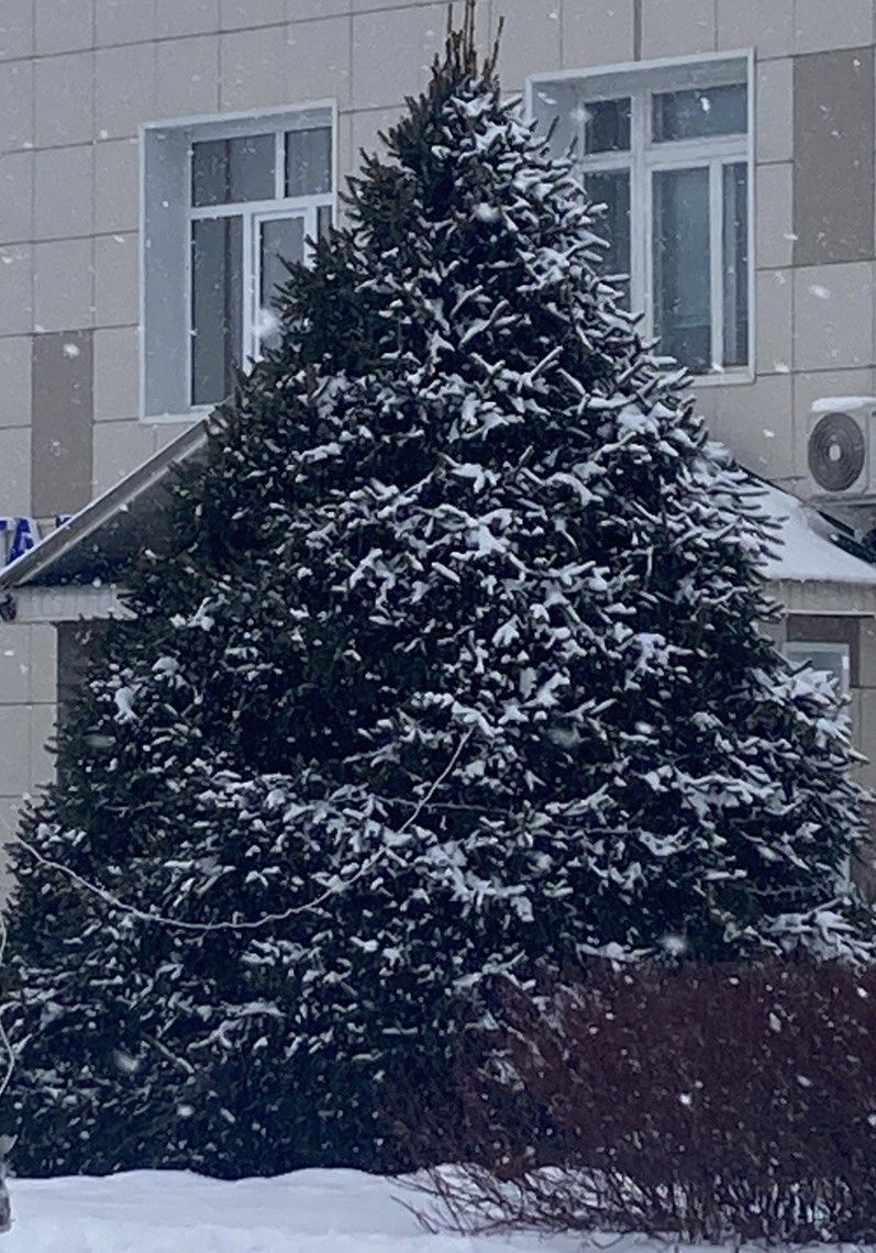 28 декабрьгә һава торышы