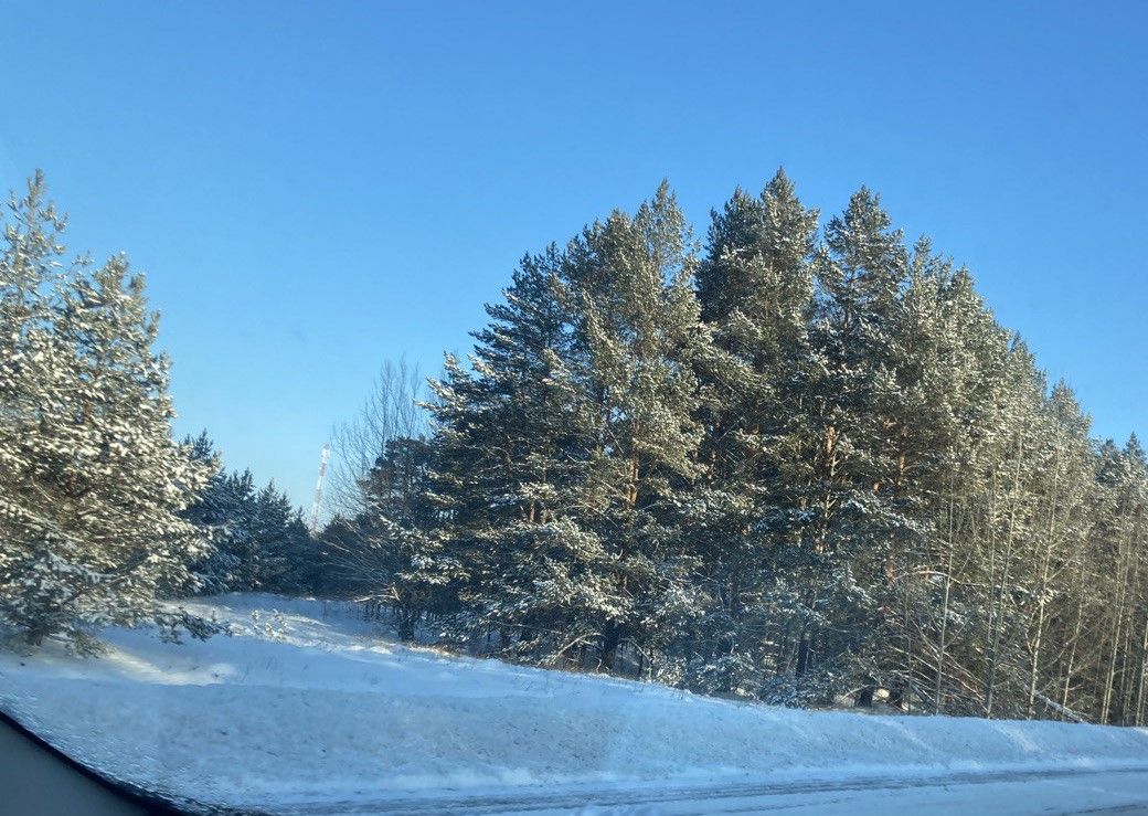 8 декабрьгә һава торышы