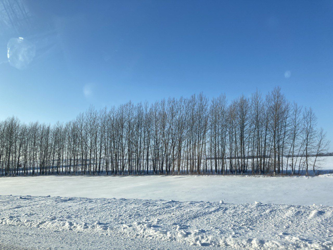 11 декабрьгә һава торышы