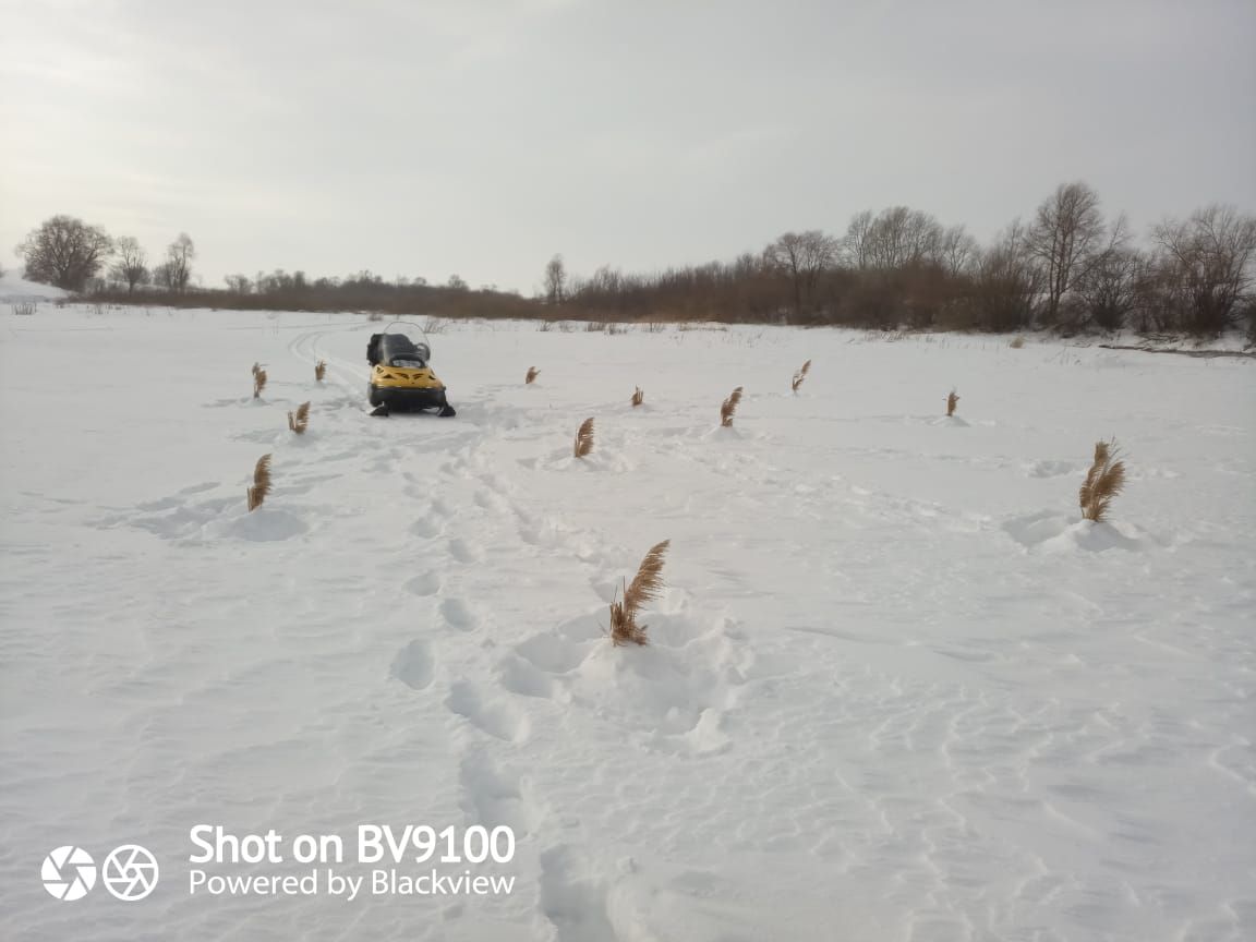 Балык күп булсын!