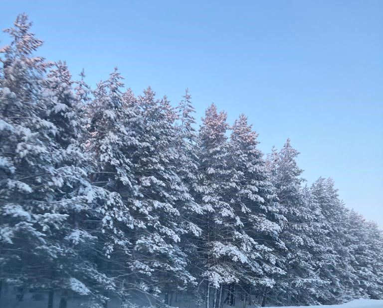 18 февральгә һава торышы
