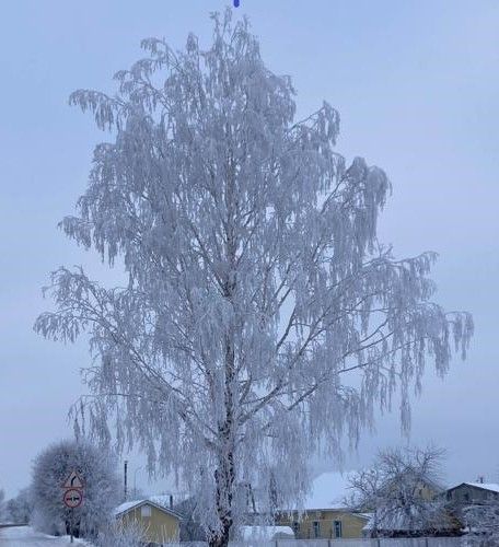 19 февральгә һава торышы
