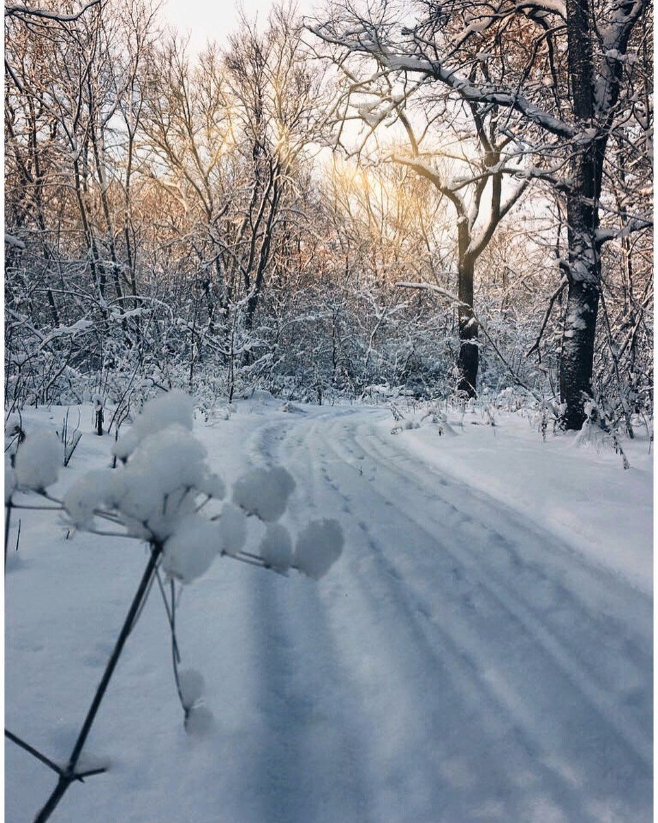Кар бөртекләре музее эшли