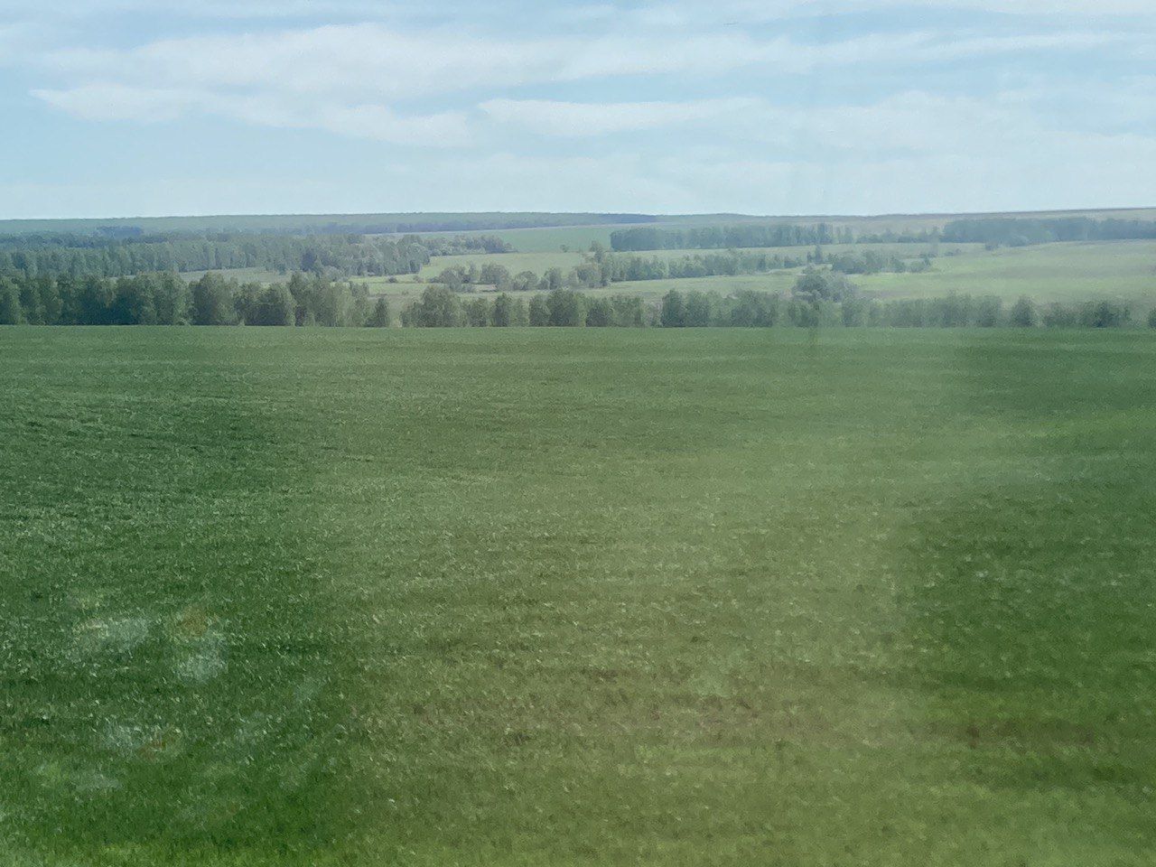 Яз ялкаулар чоры түгел