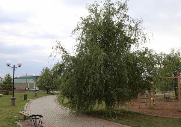 Сентябрь нинди булыр?
