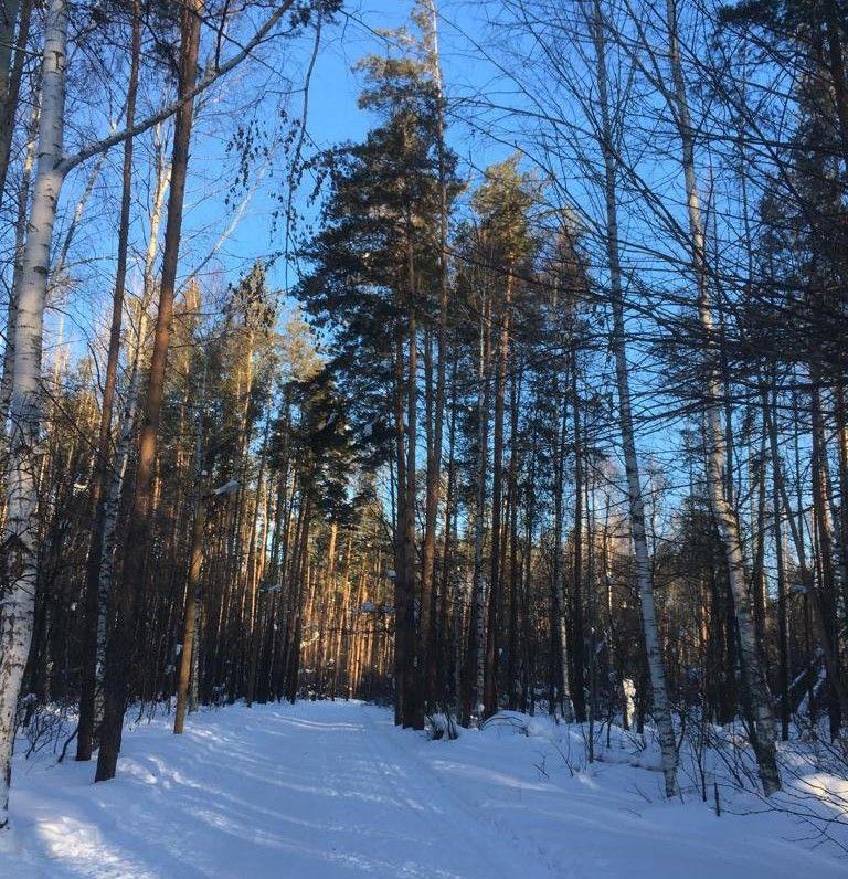 28 февральгә һава торышы