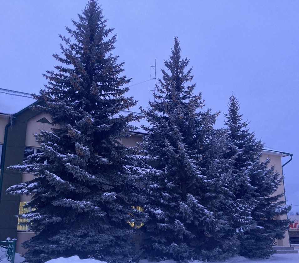 8 февральгә һава торышы