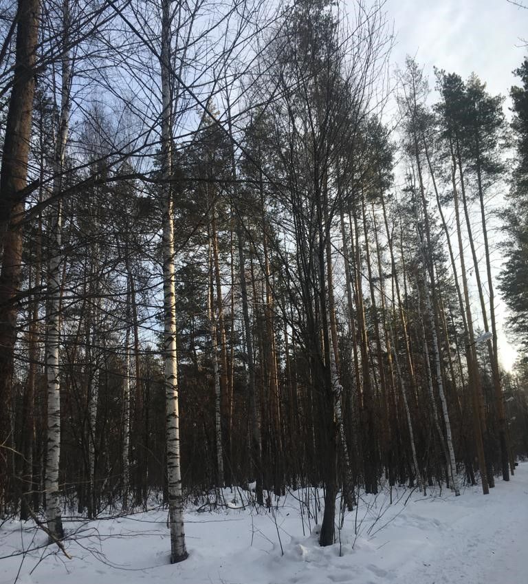 14 мартка һава торышы