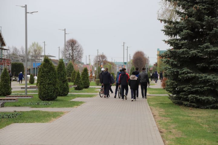 Май аена сынамышлар