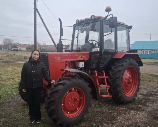Михайловка, Иске Карамалы һәм Симәк авыл җирлекләре грант отты
