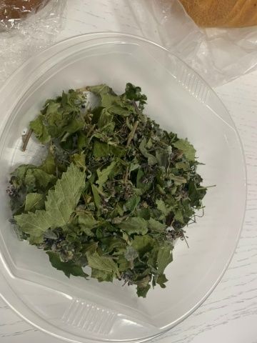 Инвалидлар декадасы дәвам итә