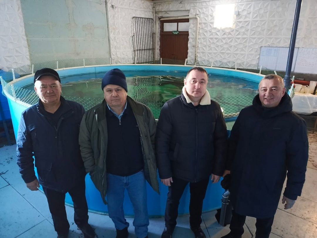 Минзәлә районында балык үстерәләр