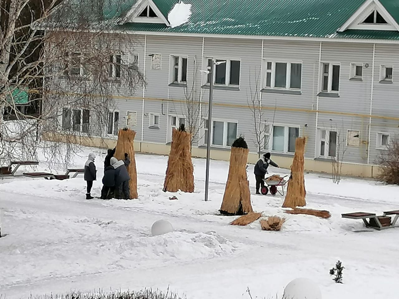 Туялар “күлмәк кия”