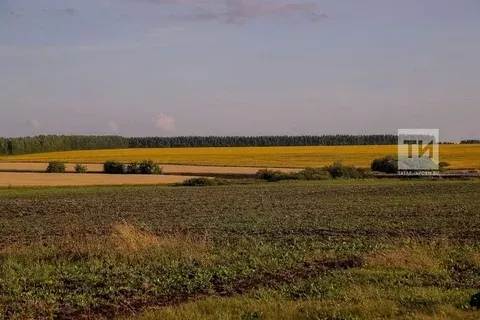 Прокуратура ачыклык кертә