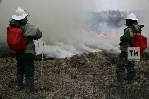 Ут белән уйнама!