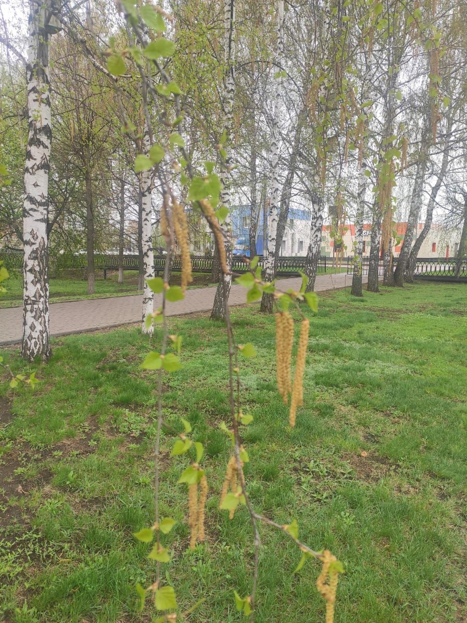 Һава торышы