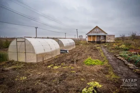 Бакча уңыш белән сөендерсен