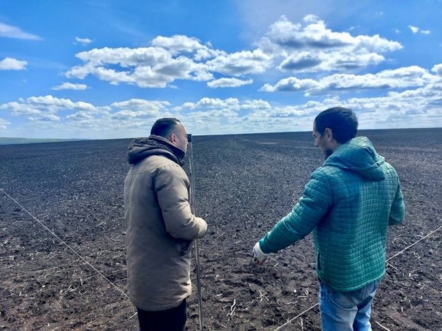 «Туган як» агрофирмасында яңа бодай һәм көнбагыш сортлары: югары уңышлы һәм тәмле гибридлар