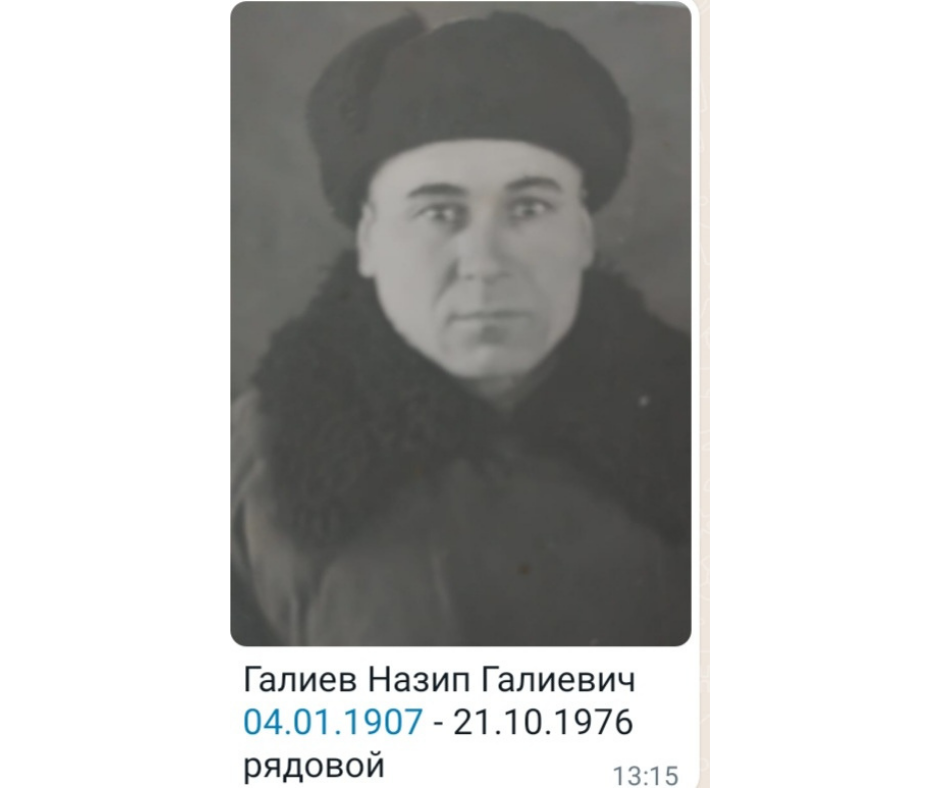 Мөслимнең үлемсез полкы
