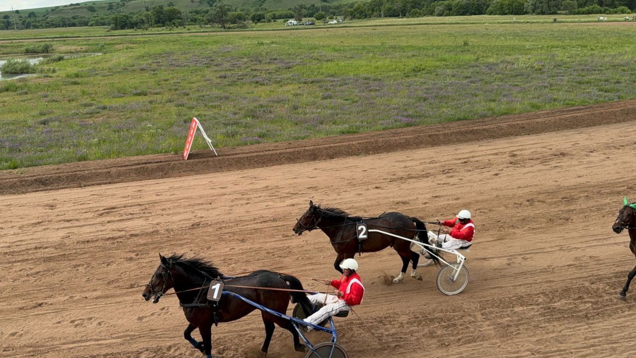 Сабан туенда атлар узышты