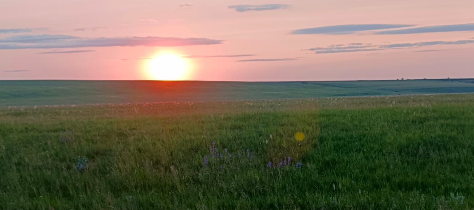 Һава торышы