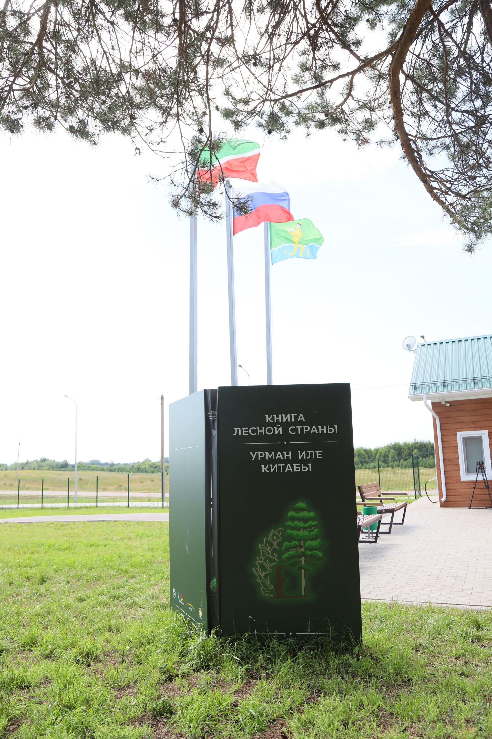 «Урман иле» ял һәм сәламәтләндерү лагеренда икенче смена эшли башлады