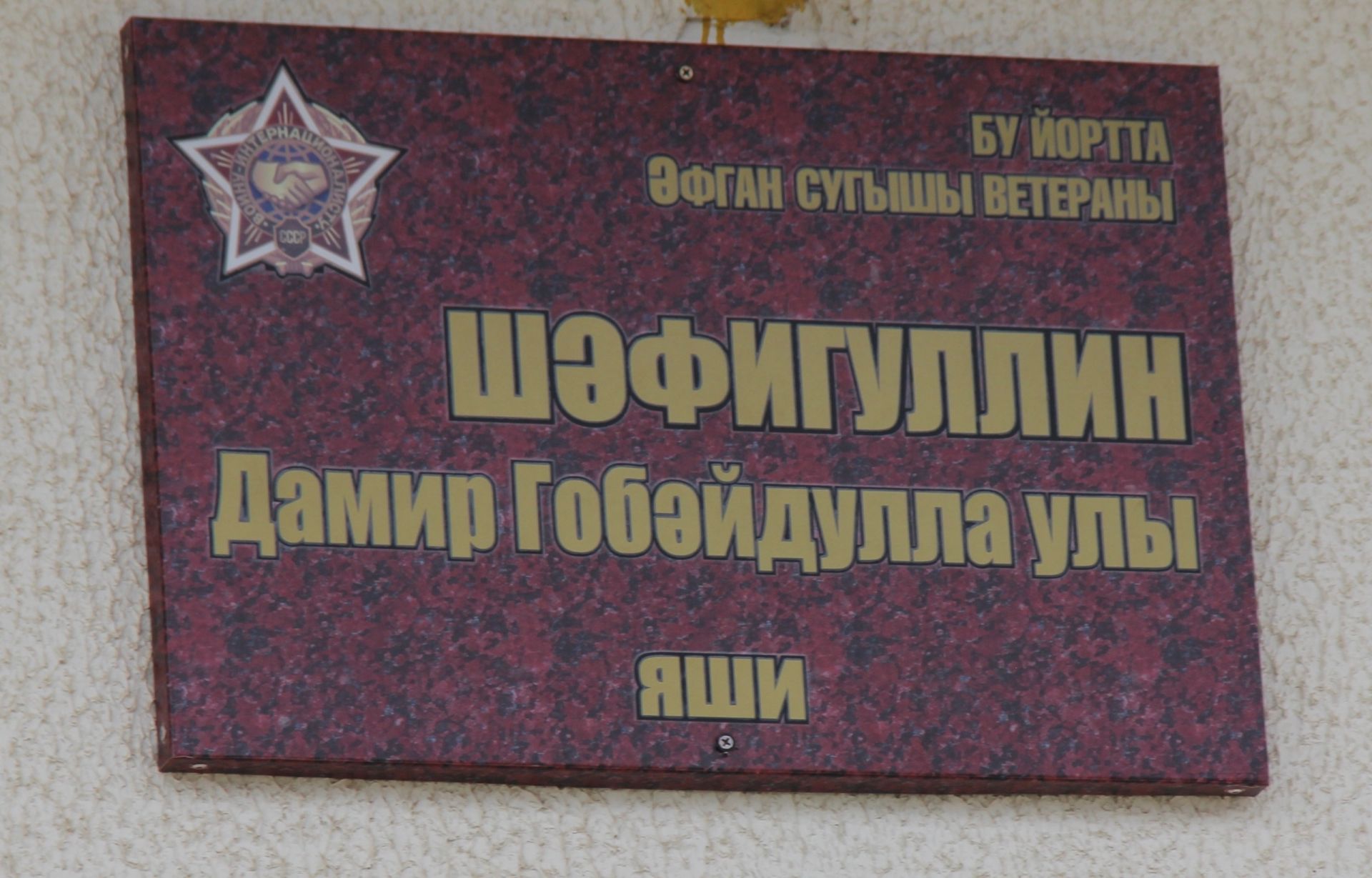 Әфган утын кичкән Дамир